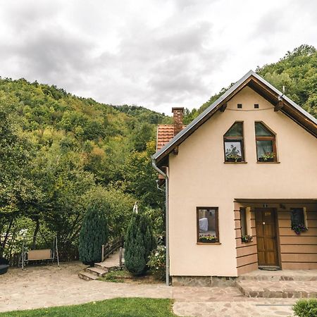 Crni Vrh Lodge Zeleni Svet מראה חיצוני תמונה