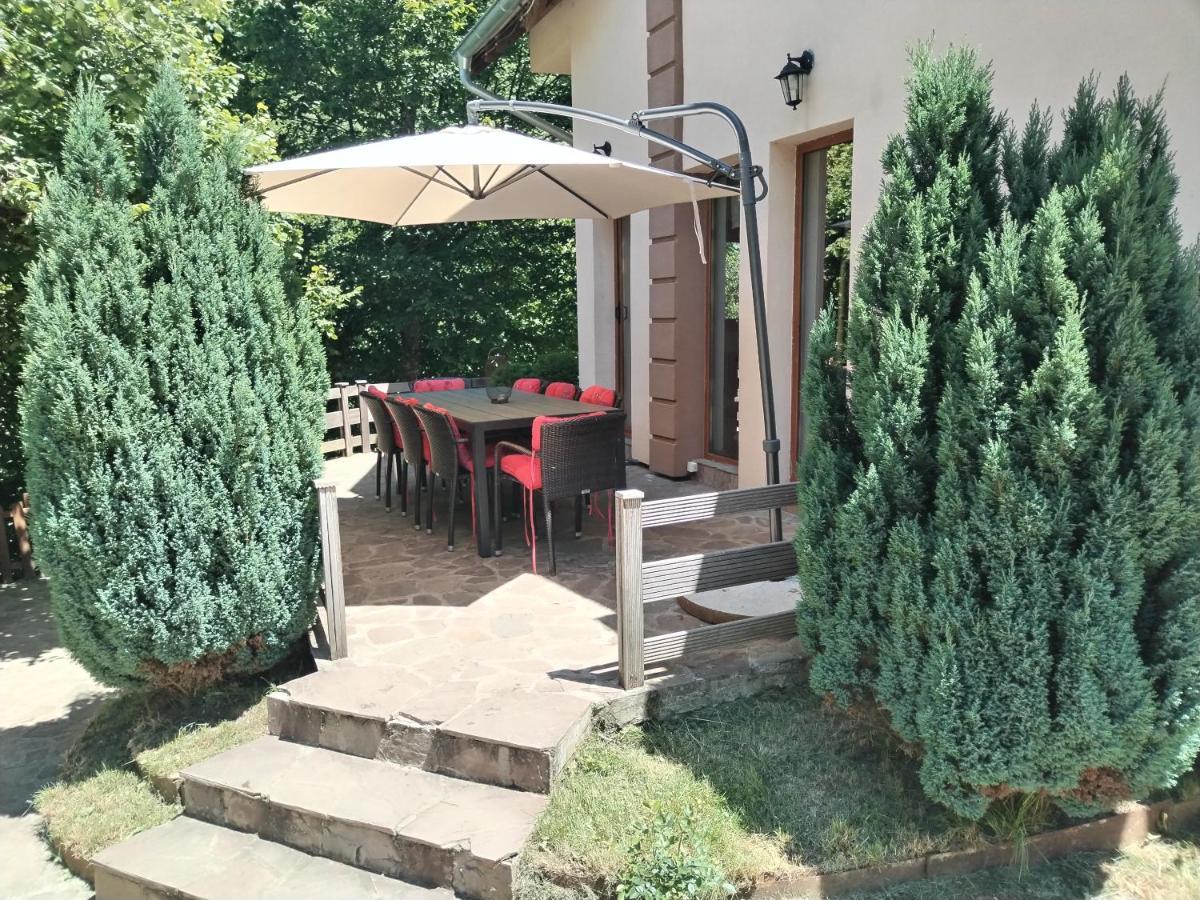 Crni Vrh Lodge Zeleni Svet מראה חיצוני תמונה